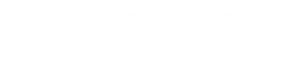 SEO Expert Gold Coast