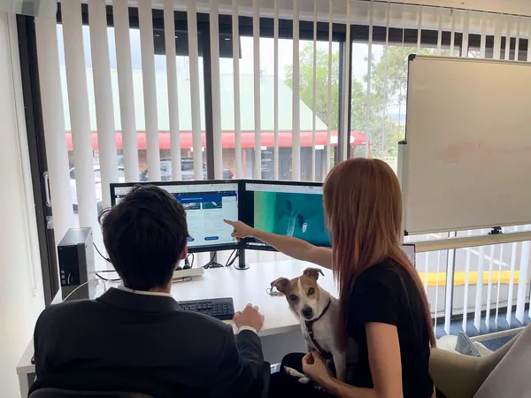 SEO Expert Gold Coast team reviewing a client website together in the Mudgeeraba office